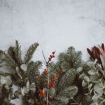 A festive image of pine branches and berries on a grey background.