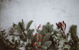 A festive image of pine branches and berries on a grey background.